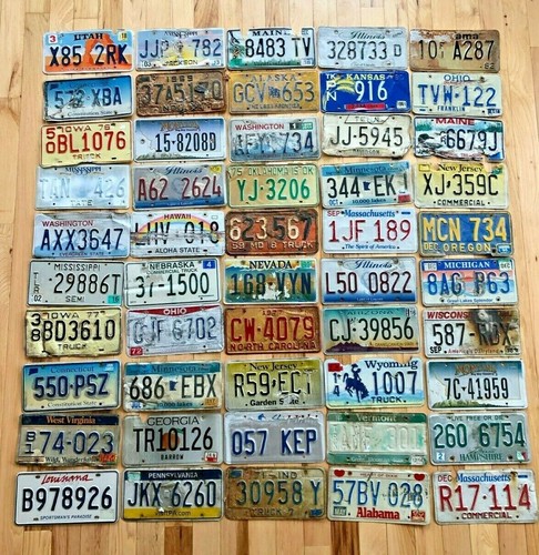 Roadkill condition license - 50,